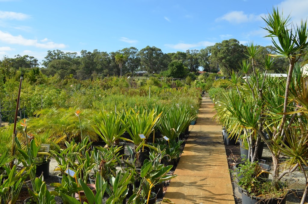 Advanced Nursery | 208 Dundebar Rd, Wanneroo WA 6065, Australia | Phone: (08) 9405 1777