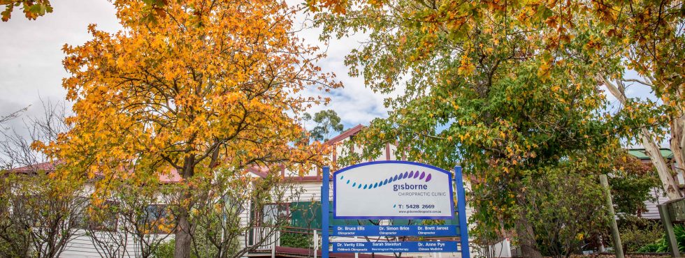 Scherer Deane Audiology | 71 Hamilton St, Gisborne VIC 3437, Australia | Phone: 1800 343 901
