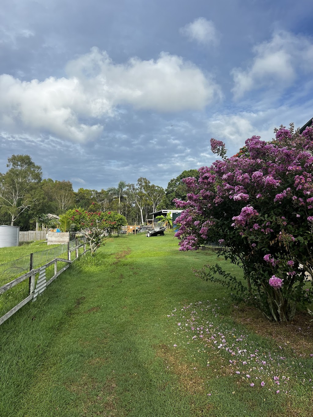 Bush to beach farmstay | 15 Tanby Post Office Rd, Tanby QLD 4703, Australia | Phone: 0408 464 790 Bush to beach farmstay | 15 Tanby Post Office Rd, Tanby QLD 4703, Australia | Phone: 0408 464 790