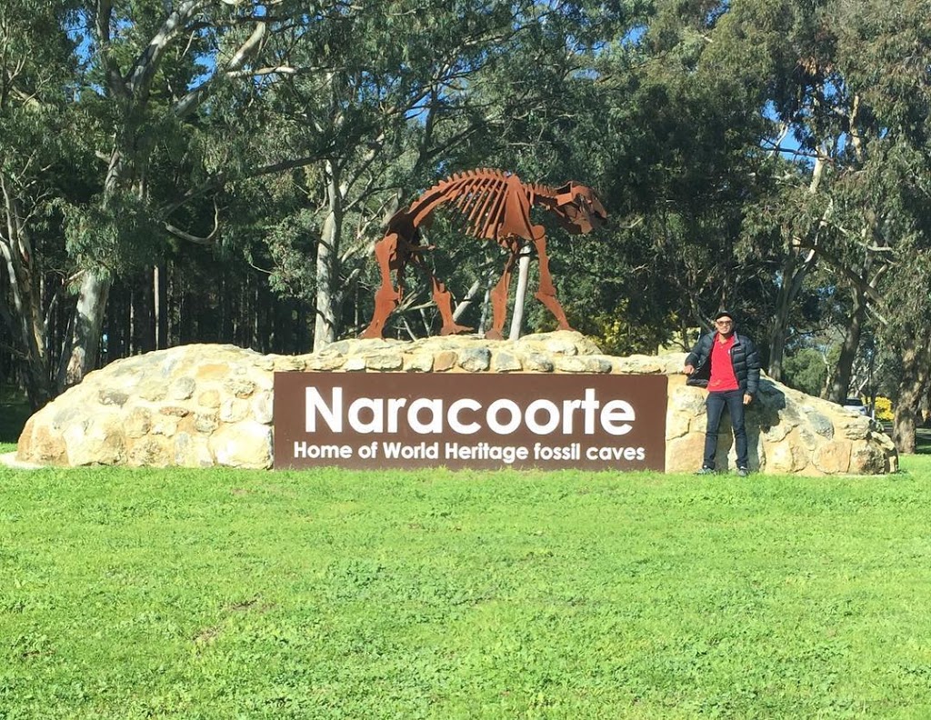 Naracoorte Airport | airport | Naracoorte SA 5271, Australia | 0887601100 OR +61 8 8760 1100