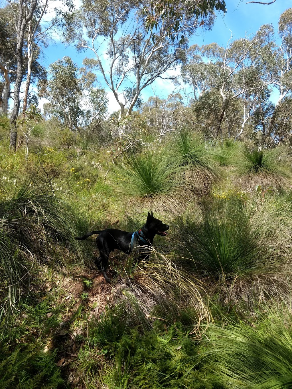 Jarrahdale Railway Heritage Trail Start And Information | park | Jarrahdale WA 6124, Australia