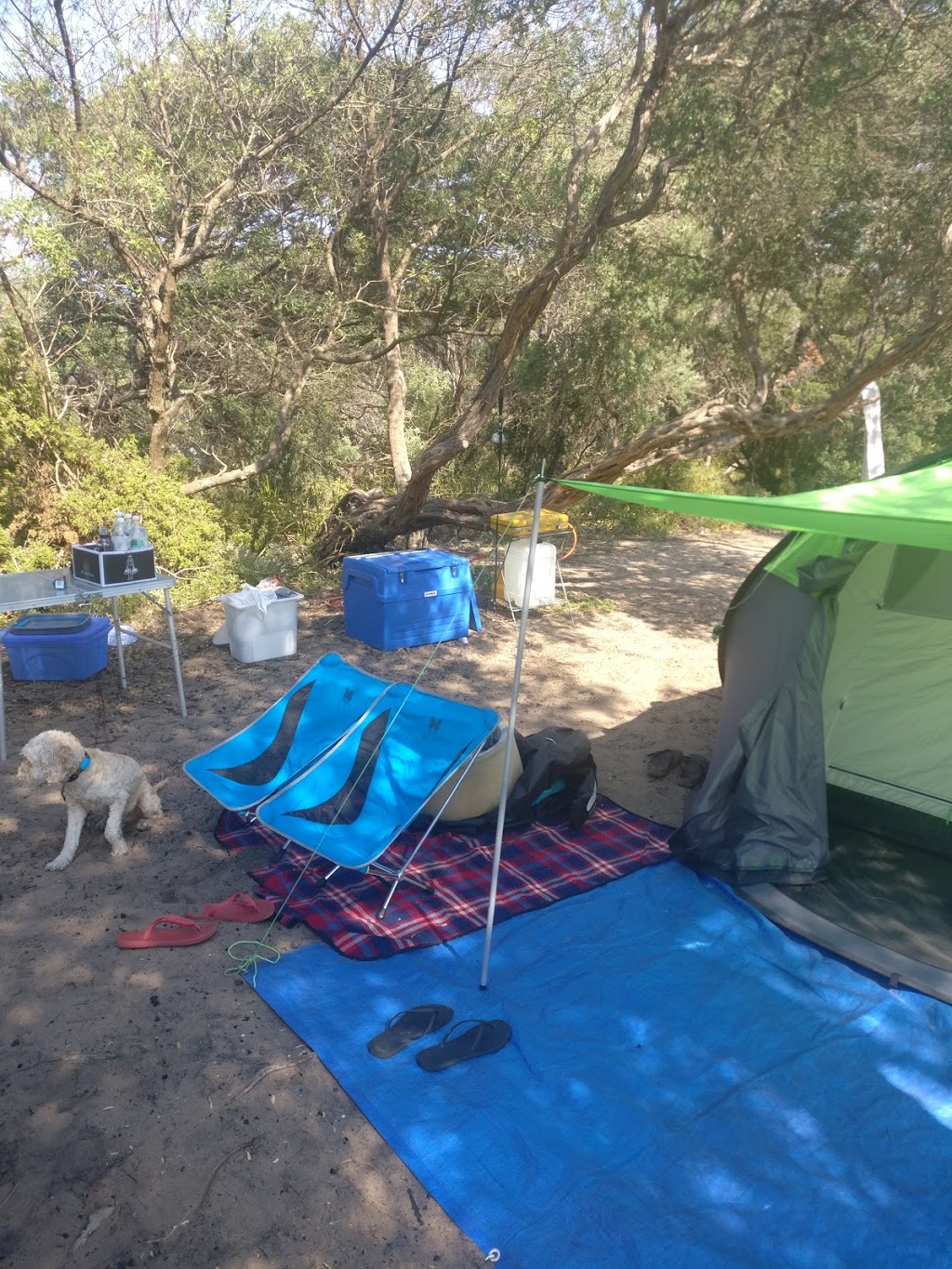 C2 & C3 Campground Gippsland Lakes Coastal Park | campground | Golden Beach VIC 3851, Australia