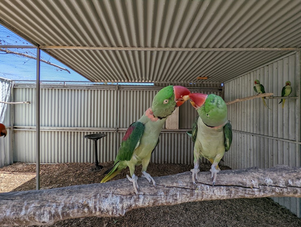 Esperance Bird & Animal Park Café | Lot 3/549 Coolgardie Esperance Hwy, Esperance WA 6450, Australia | Phone: (08) 9076 1067