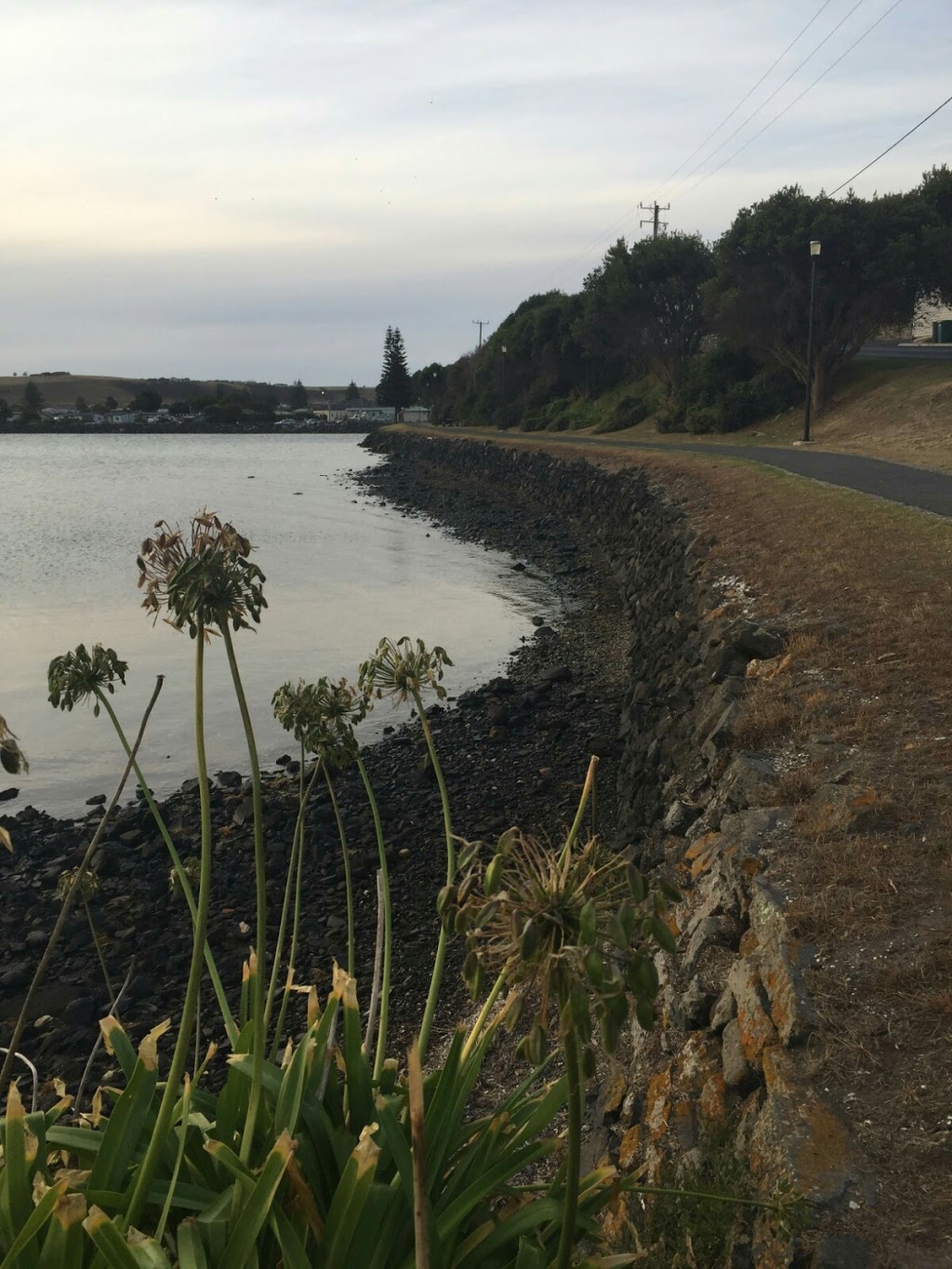 Marine Park | park | Marine Park, 14 Wharf Rd, Stanley TAS 7331, Australia