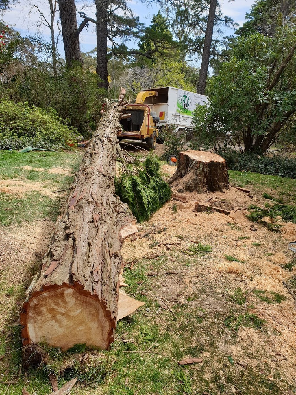 Austins Tree Contracting |  | 58 Elizabeth St, North Richmond NSW 2754, Australia | 0401871444 OR +61 401 871 444