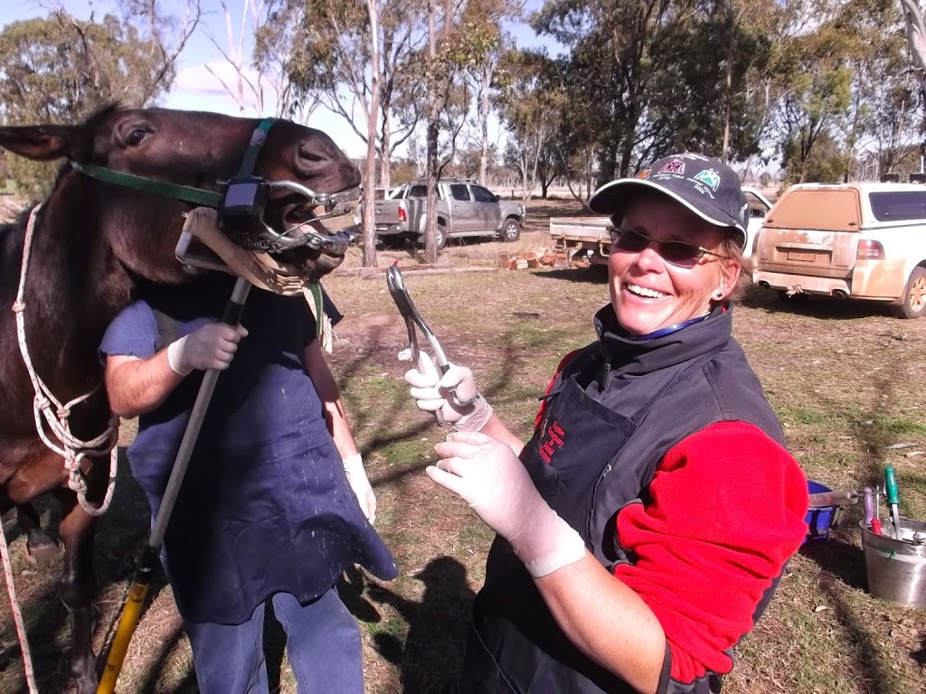 Freestone Equine Vet Farm | veterinary care | 37 Watts Rd, Freestone QLD 4370, Australia | 0422474324 OR +61 422 474 324