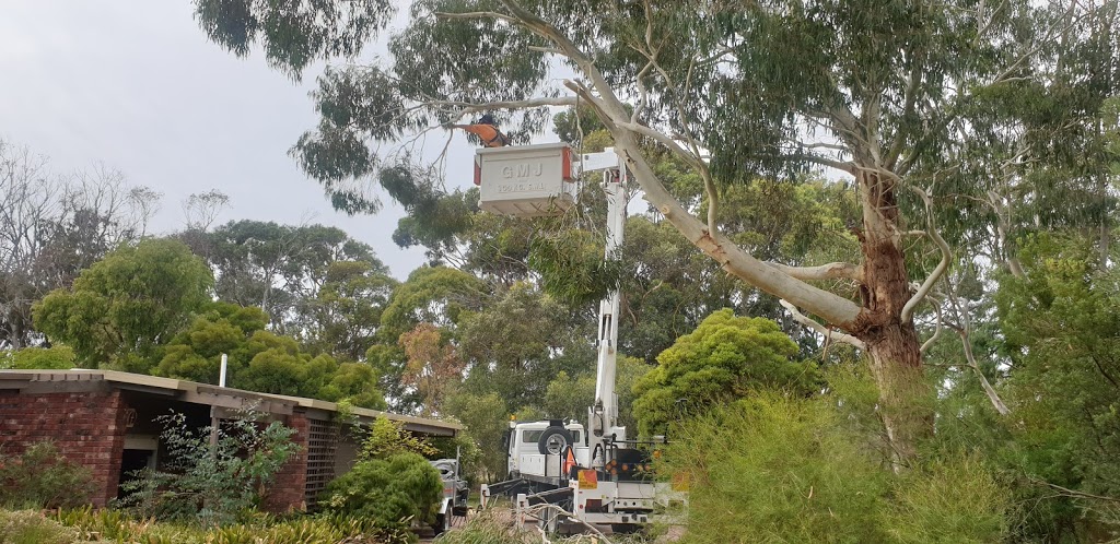 Treeworx south east | Springs Drive, Naracoorte SA 5271, Australia | Phone: 0412 997 914