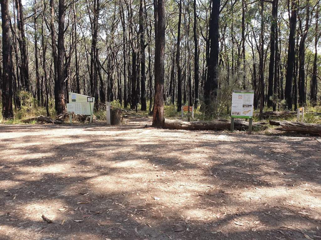 Forrest Yaugher MTB Trailhead | park | Forrest VIC 3236, Australia