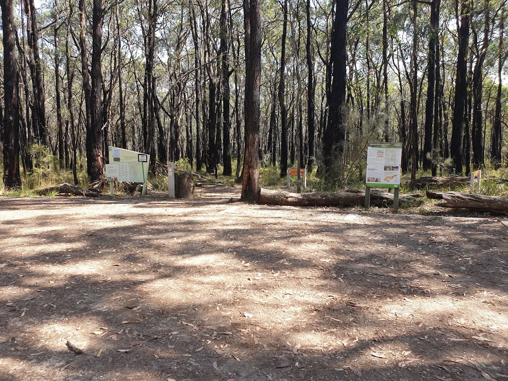 Forrest Yaugher MTB Trailhead | Forrest VIC 3236, Australia