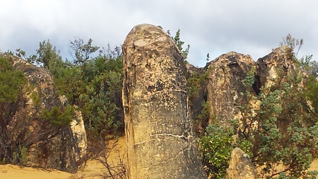 Pinnacles Desert Discovery Centre | Nambung WA 6521, Australia | Phone: (08) 9652 7913