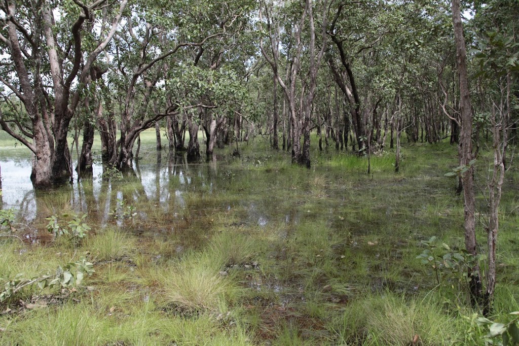 Mary River National Park | park | Point Stuart Rd, Point Stuart NT 0822, Australia | 0889788986 OR +61 8 8978 8986