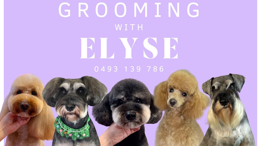 Grooming with Elyse | 235 Cabbage Tree Rd, Williamtown NSW 2318, Australia | Phone: 0493 139 786