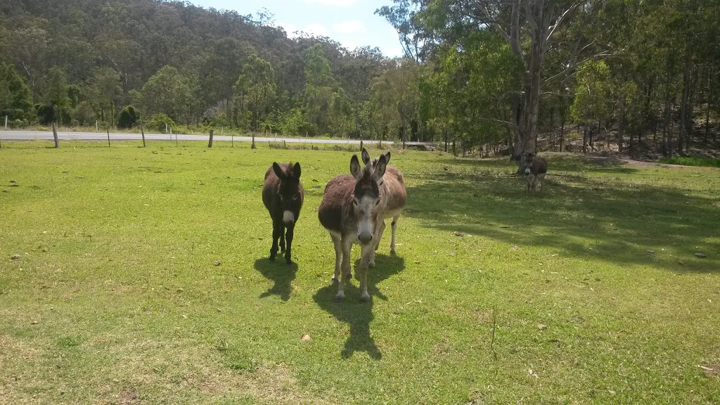 A Country View Motel Ilbilbie (ill-bill-b) | lodging | 20 Greenhill Rd, Ilbilbie QLD 4738, Australia | 0749501169 OR +61 7 4950 1169