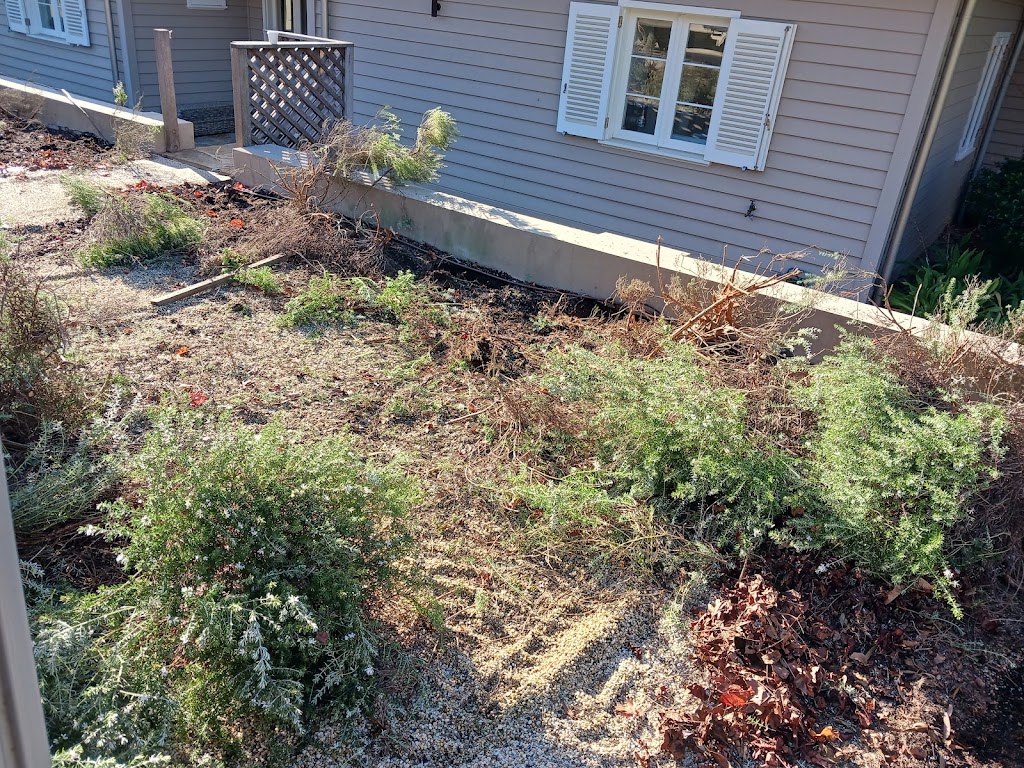 Garden Assist Bittern | 30 Woolleys Rd, Bittern VIC 3918, Australia | Phone: 0401 125 049