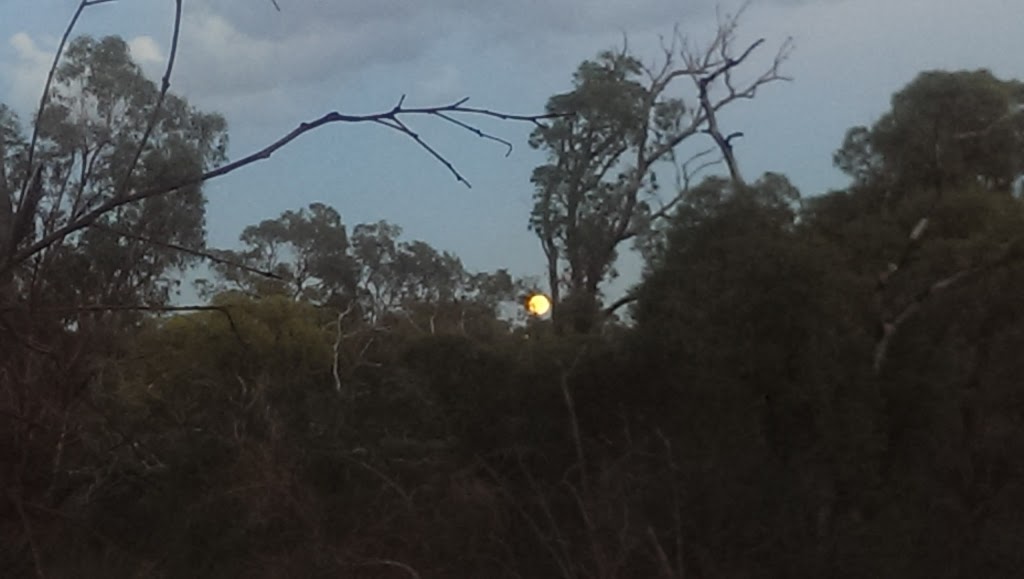 Sir Frederick Samson Memorial Reserve | park | Samson WA 6163, Australia