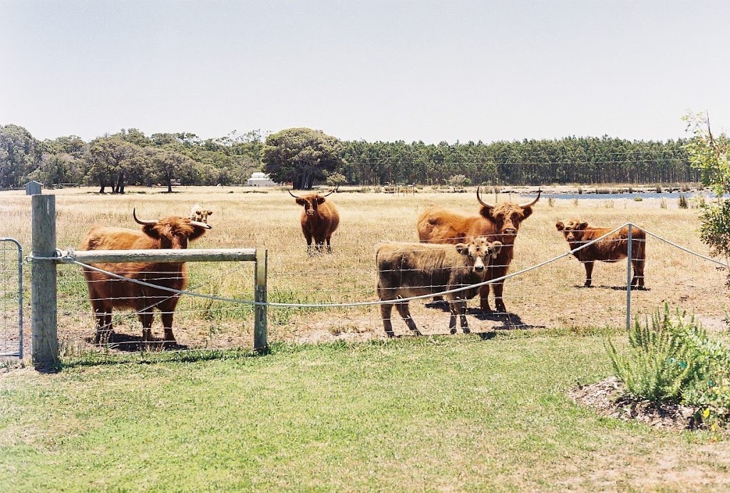 Peppermint Cottage Augusta | 10515 Caves Rd, Deepdene WA 6290, Australia | Phone: 0418 633 540