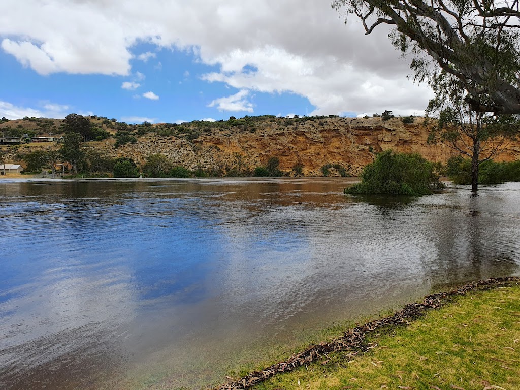 Walker Flat River Reserve | Angas Valley Rd, Walker Flat SA 5238, Australia | Phone: 0432 761 013