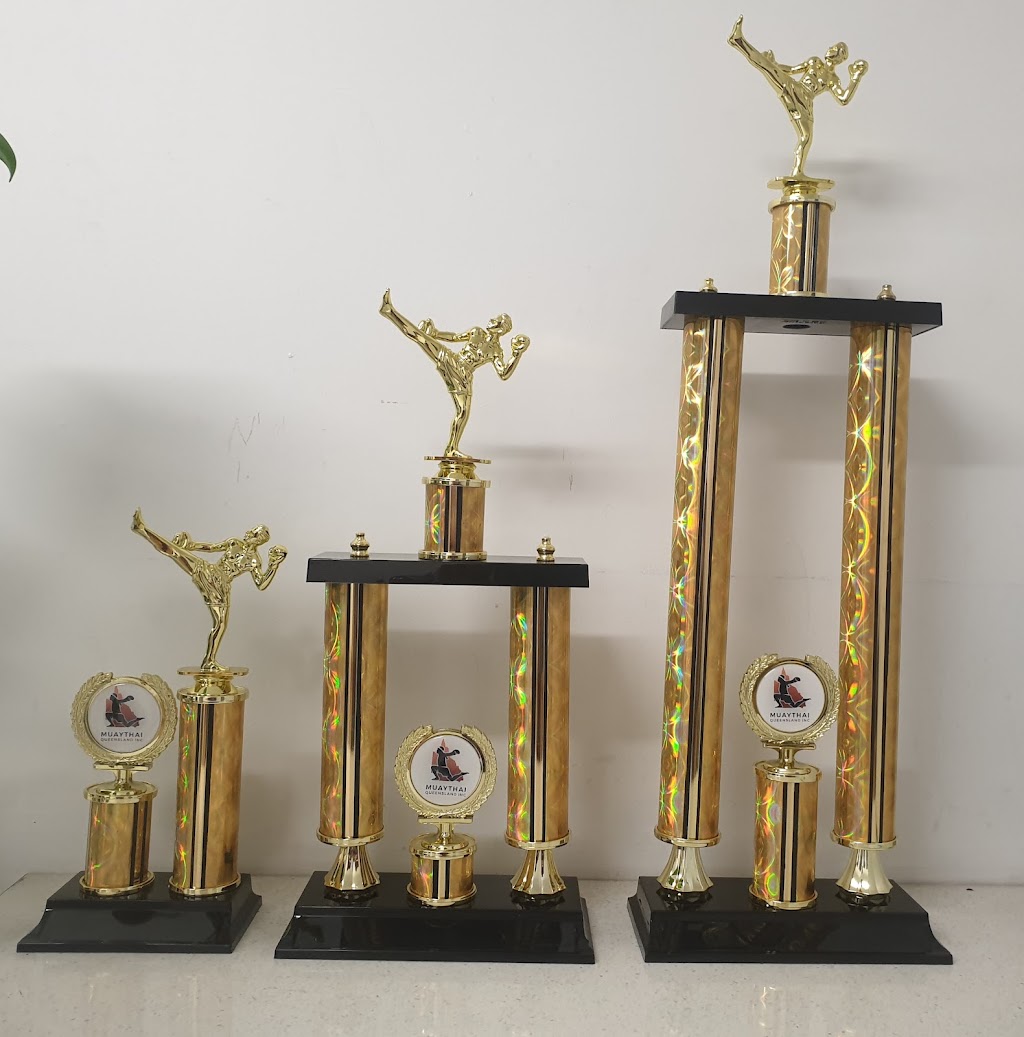 Ace Wholesale Trophies & Engraving | 54 Main St, Bakers Creek QLD 4740, Australia | Phone: 0418 555 454