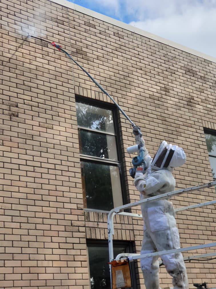 Julian Davidson Pest Management | 52 Pacific Dr, Swansea Heads NSW 2281, Australia | Phone: 0449 171 209