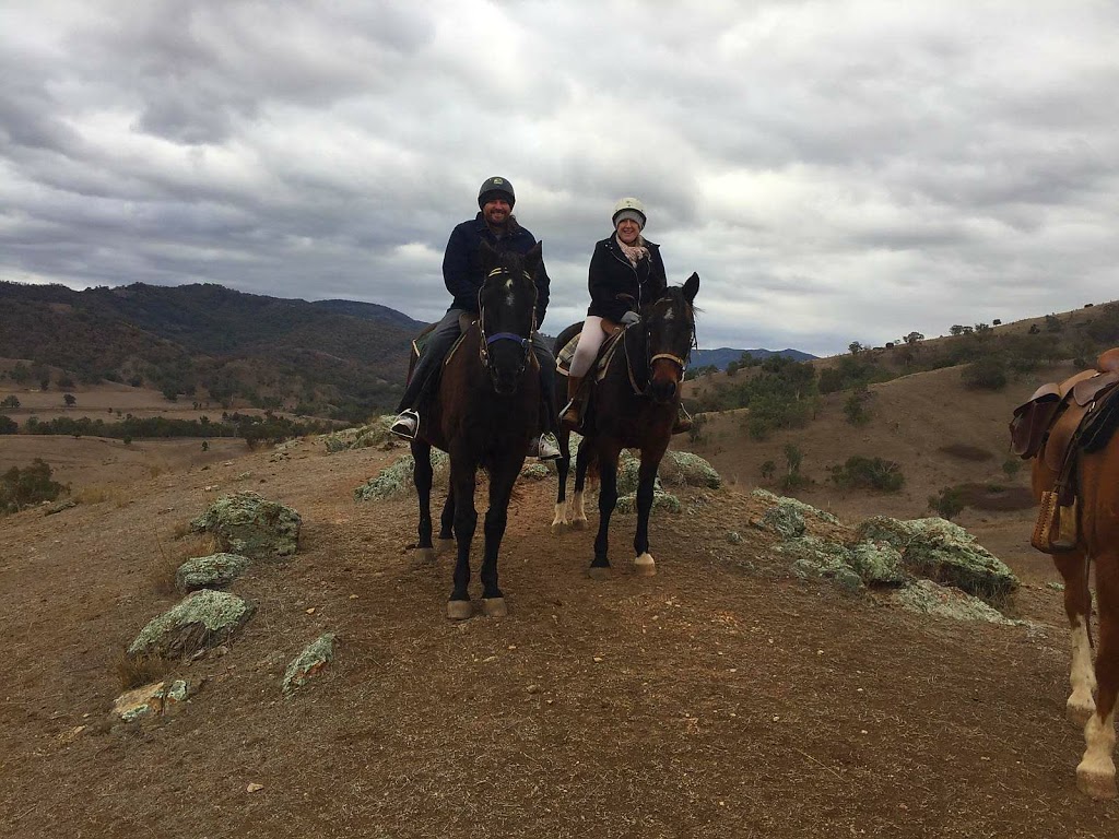 Tamworth and Kootingal Horse Riding Adventures | 531 Mulla Creek Rd, Mulla Creek NSW 2352, Australia | Phone: 0467 644 250