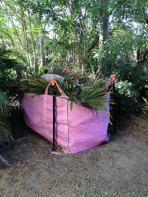 Aussie Palm Clean - Mackay Coconut Removal | 174 Milton St, Mackay QLD 4740, Australia | Phone: 0419 157 213