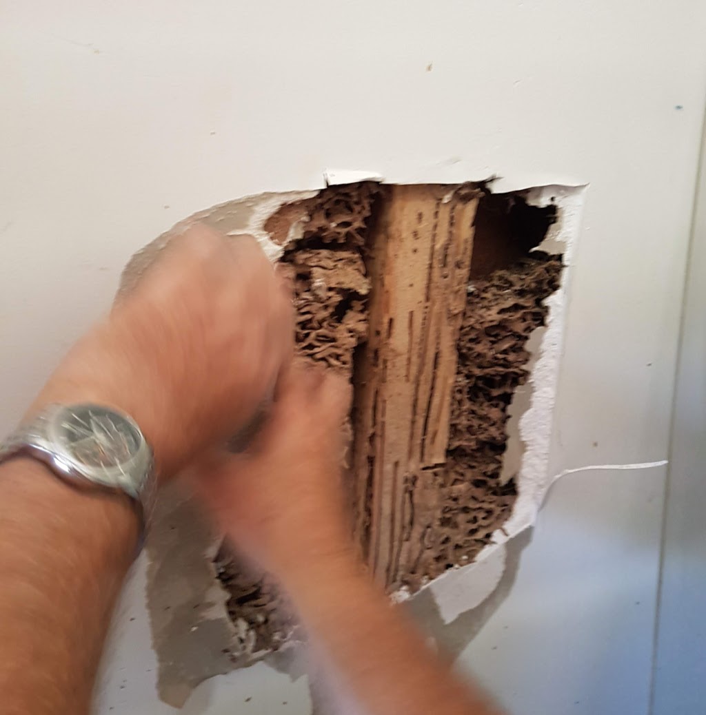 Bundaberg Bug Busters Termite and pest control | 290 Woongarra Scenic Dr, Bargara QLD 4670, Australia | Phone: 0417 501 326