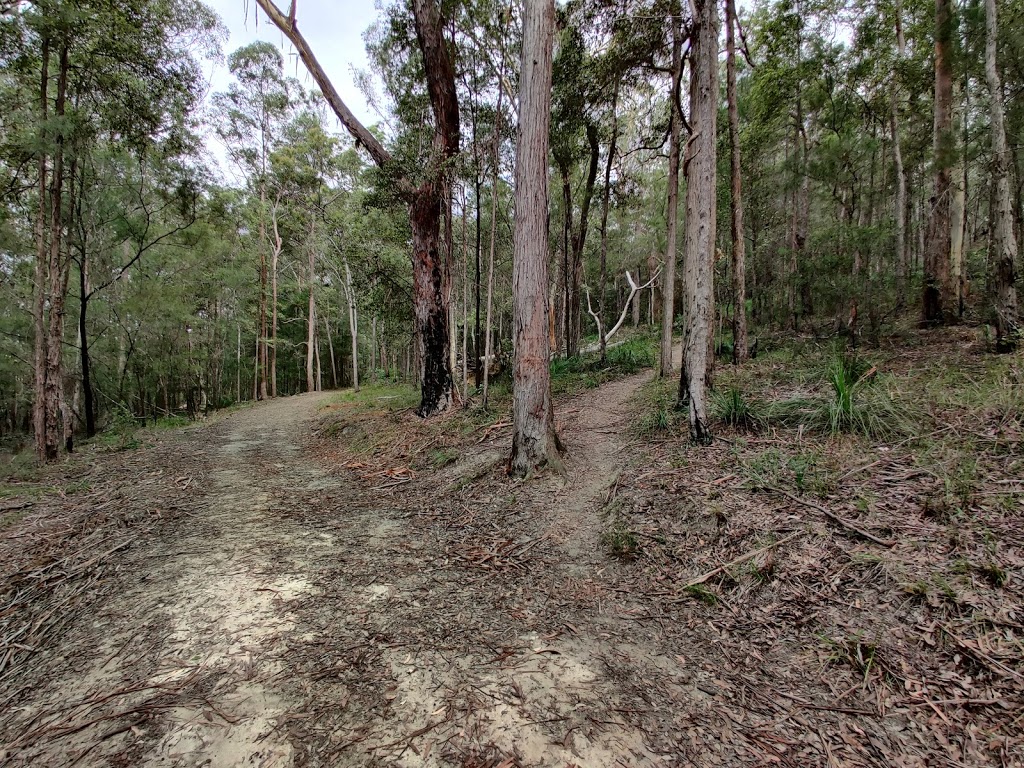 Mount Coochin | LOT 321A Old Gympie Rd, Beerwah QLD 4519, Australia | Phone: 13 74 68