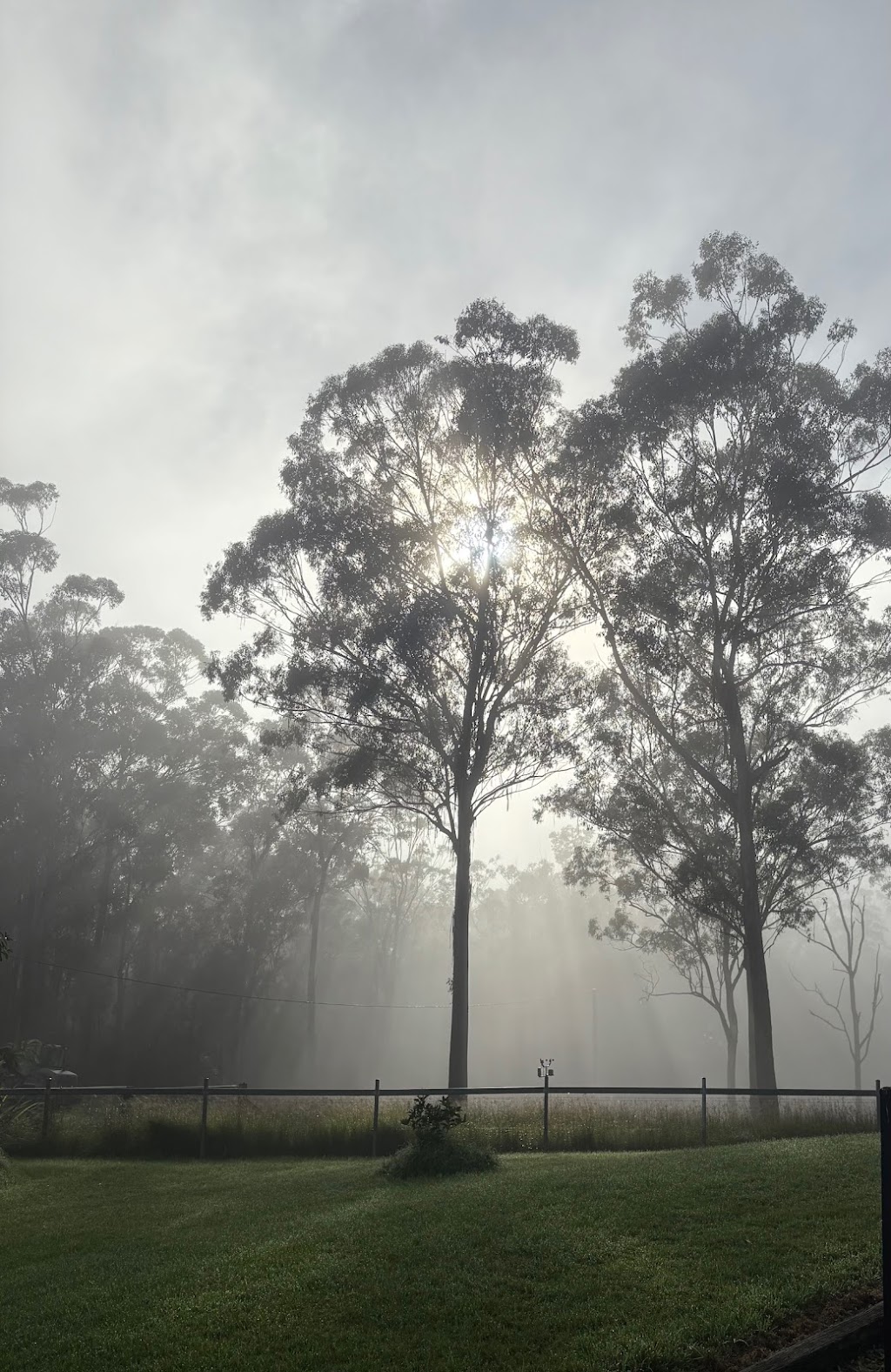 Fruit Dove Cottage | Church House Rd, Perseverance QLD 4352, Australia | Phone: 0418 701 940