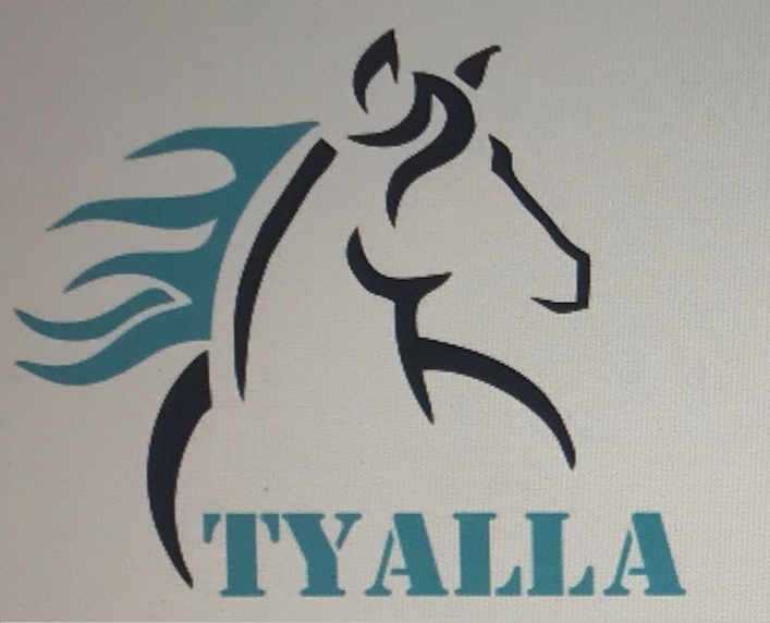 Tyalla equestrian services | 211 Gooch Rd, Clackline WA 6564, Australia | Phone: 0412 457 050