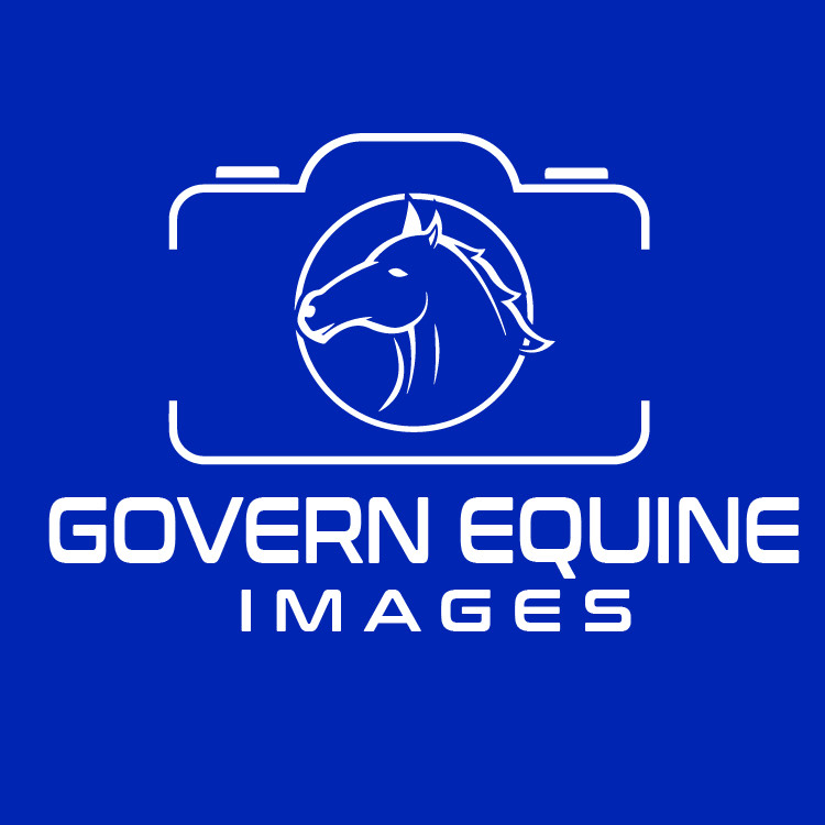 Govern Equine Images | 50 Willows Rd, Michelago NSW 2620, Australia | Phone: 0498 855 515