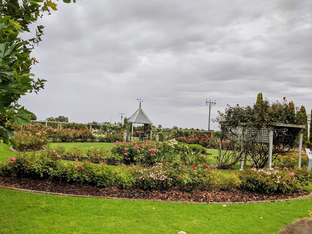 Balnaves of Coonawarra | tourist attraction | 15517 Riddoch Hwy, Coonawarra SA 5263, Australia | 0887372946 OR +61 8 8737 2946