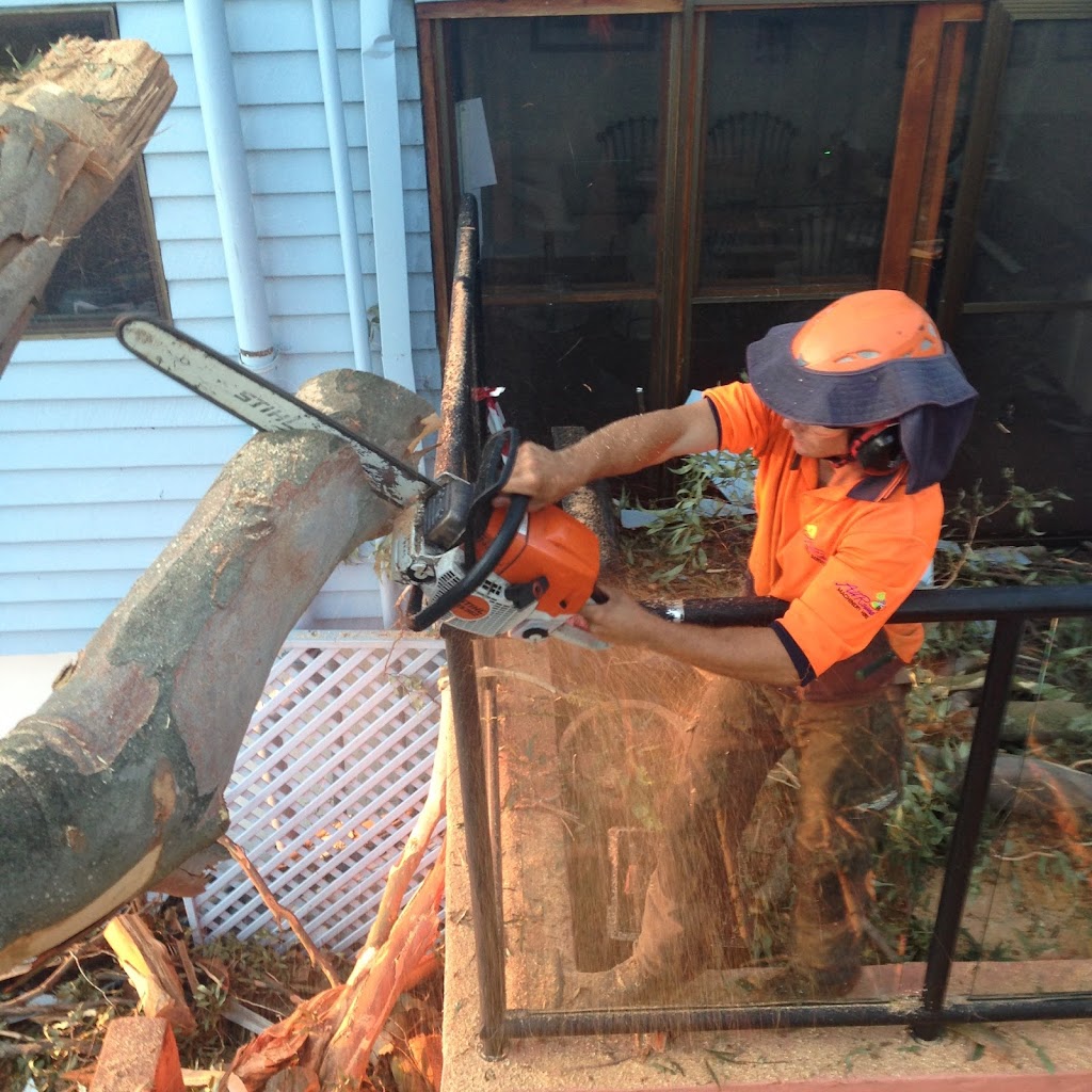 AllRound Tree Services | Whitepatch Esplanard, Bribie Island QLD 4507, Australia | Phone: 0476 377 995