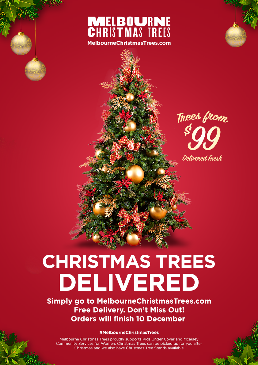 Melbourne Christmas Trees | 26 Liddiard St, Hawthorn VIC 3122, Australia | Phone: 0475 693 910