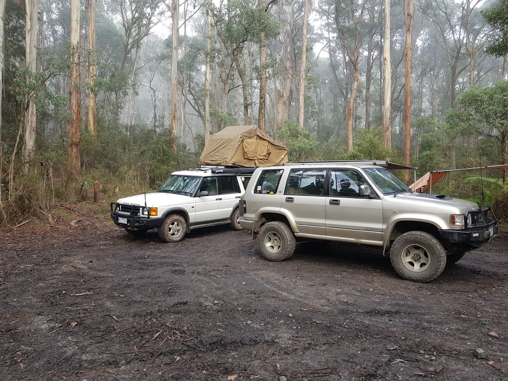 Reids Camping Ground | Eildon VIC 3713, Australia