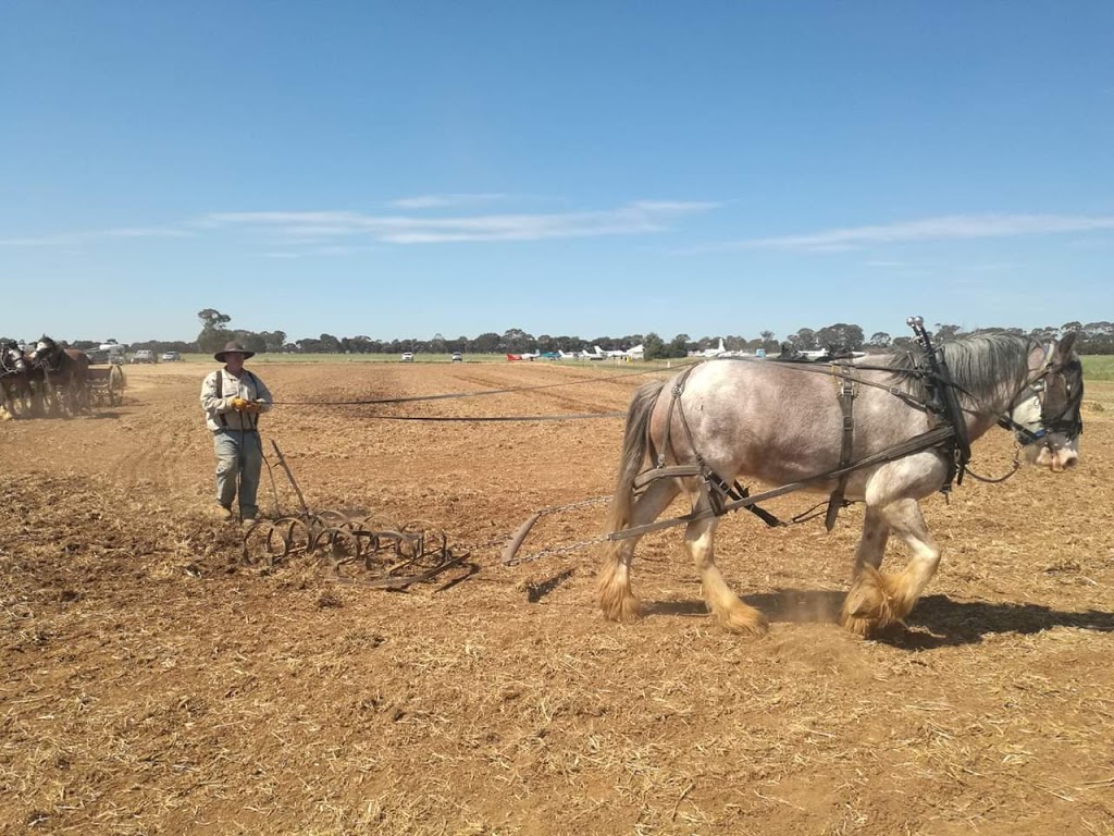 Elmore & District Machinery Field Day Inc. |  | 48 Rosaia Rd, Burnewang VIC 3558, Australia | 0354326176 OR +61 3 5432 6176