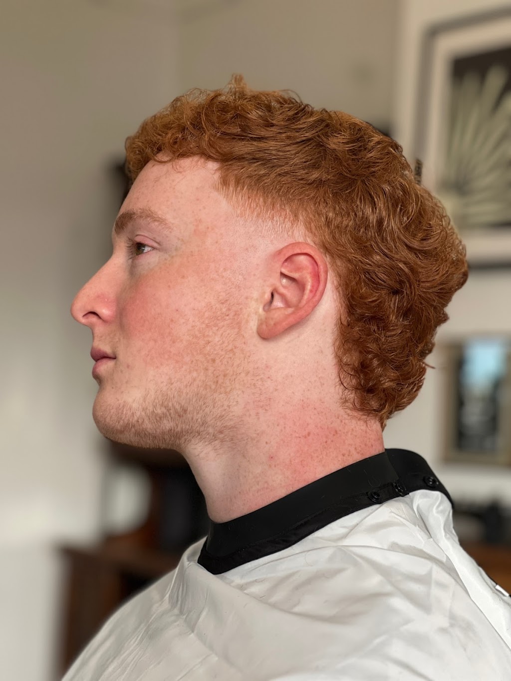 The Arktic Barber | Walton House, 2720 Huon Hwy, Huonville TAS 7109, Australia | Phone: 0493 976 998