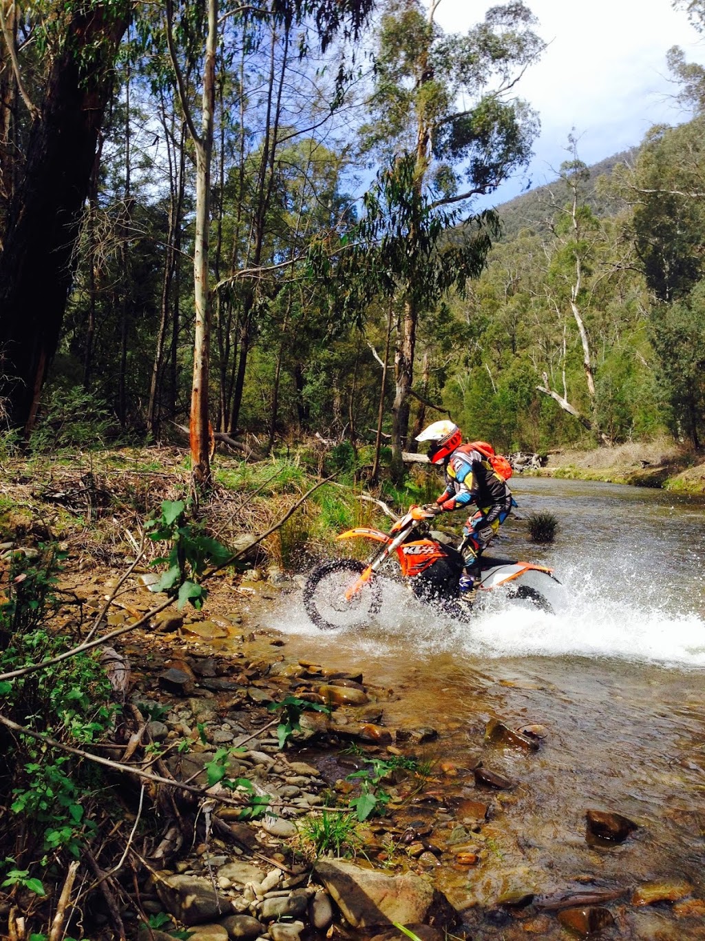 River to ridge adventure tours |  | 1 Morses Creek Rd, Wandiligong VIC 3744, Australia | 0408691853 OR +61 408 691 853