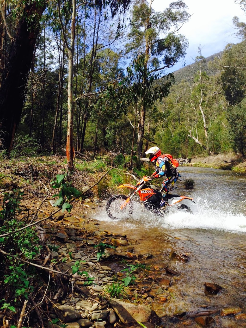 River to ridge adventure tours | 1 Morses Creek Rd, Wandiligong VIC 3744, Australia | Phone: 0408 691 853