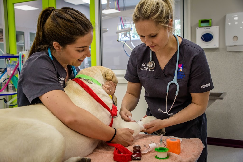 Tea Tree Gully Veterinary Hospital | 1333 North East Road, Tea Tree Gully SA 5091, Australia | Phone: (08) 8265 3399