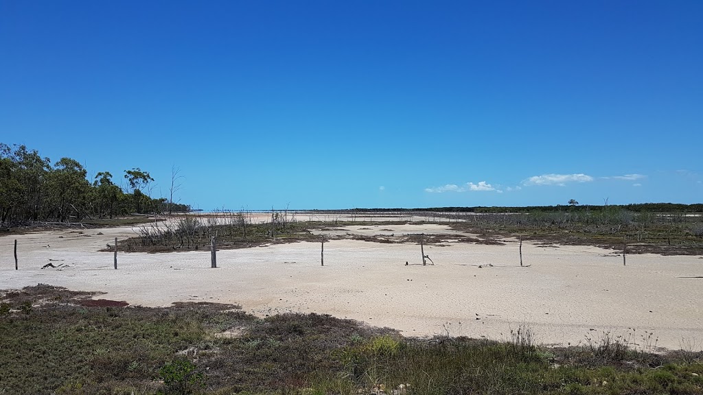 Newport Conservation Park | park | St Lawrence QLD 4707, Australia