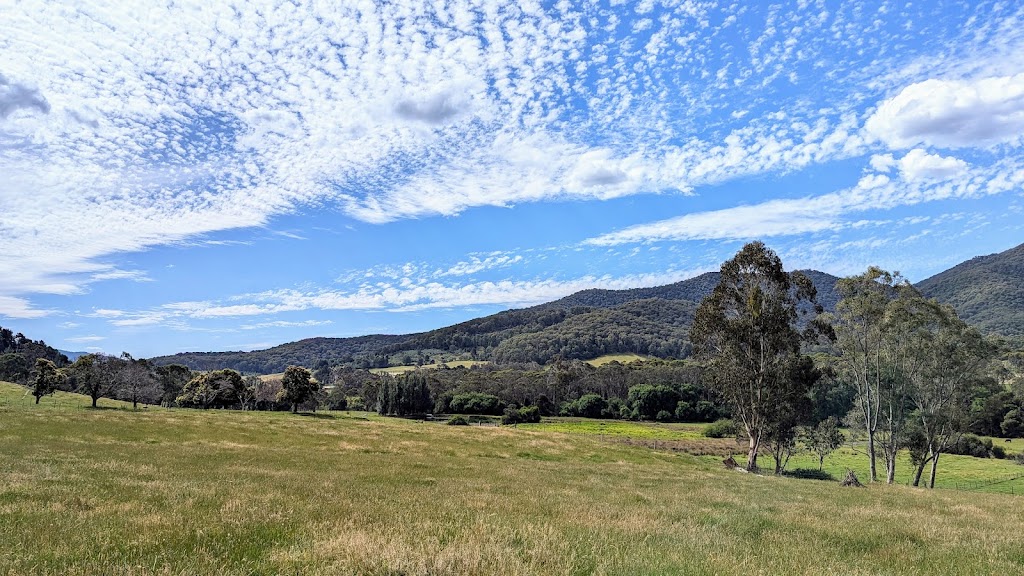 Bright Boarding Kennels | 264 Roberts Creek Rd, Porepunkah VIC 3740, Australia | Phone: 0401 323 412