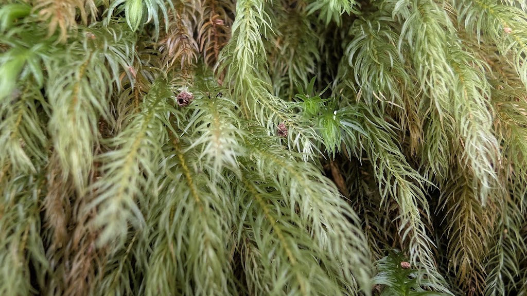 Retreat On Deakin | 808 Deakin Ave, Mildura VIC 3500, Australia | Phone: 0437 101 756