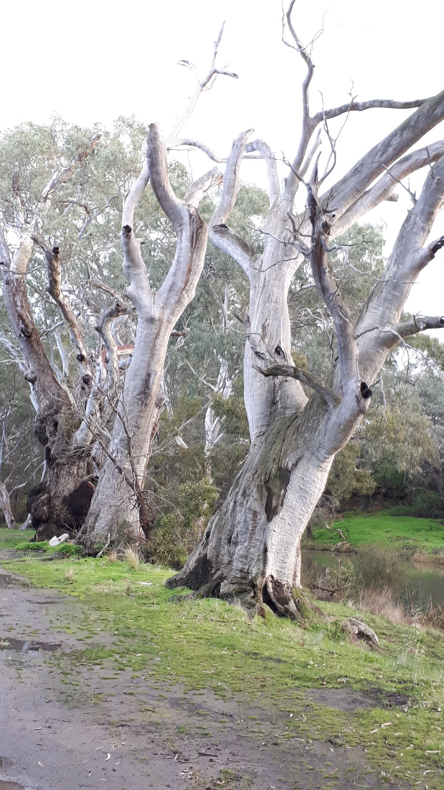 Water Outlet | Lake Lonsdale VIC 3381, Australia