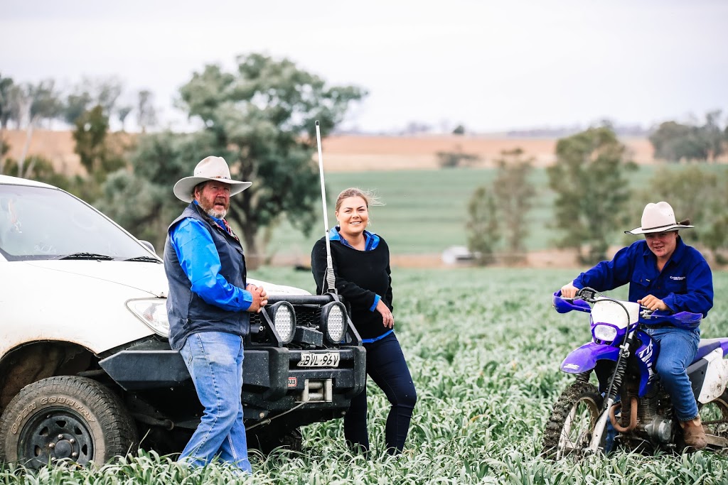 Clunie Range Angus Stud | 458 Coolatai Rd, Wallangra NSW 2360, Australia | Phone: 0427 438 318