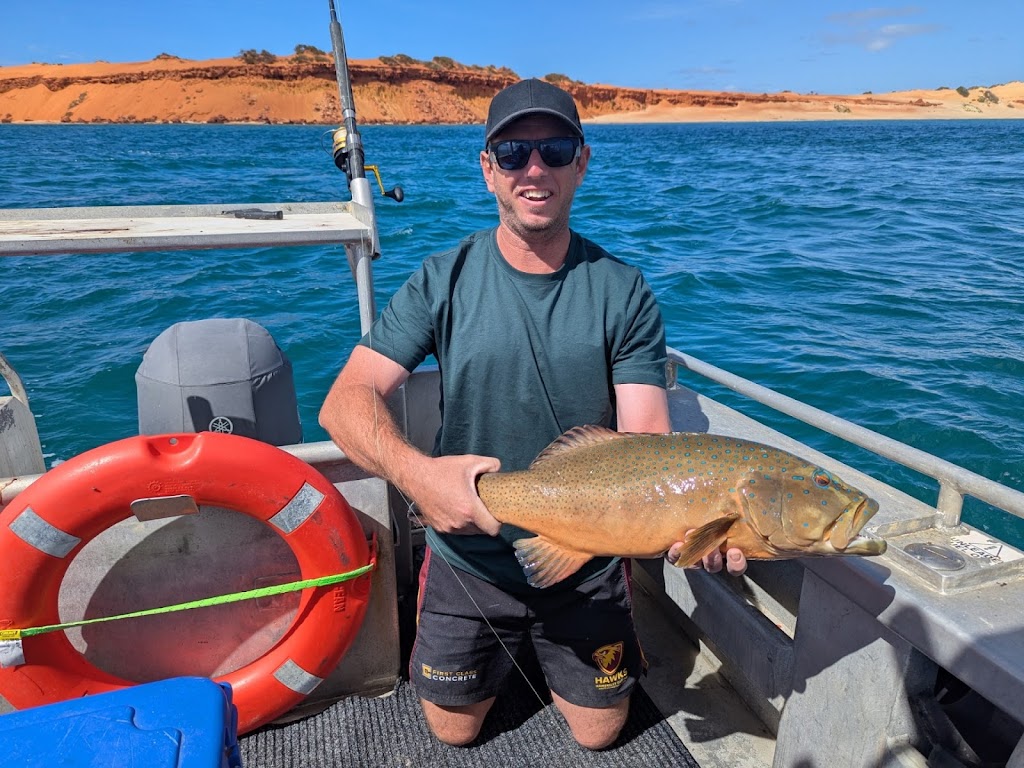 Monkey Mia Boat Hire Shark Bay | 60 Monkey Mia Rd, Denham WA 6537, Australia | Phone: 0487 421 690