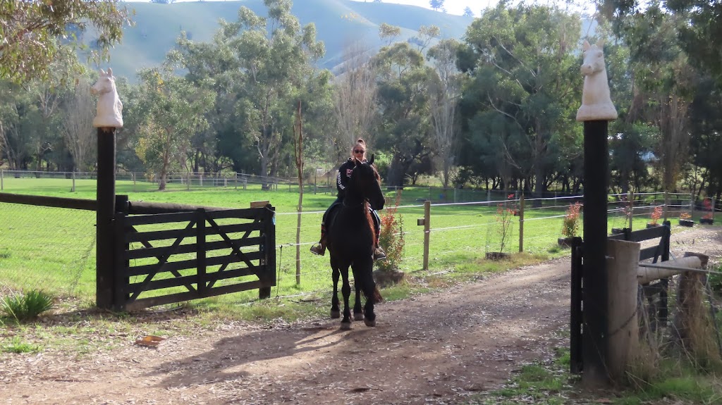 Wildcroft Estate Yea | 526 Ti Tree Creek Rd, Yea VIC 3717, Australia | Phone: 0407 882 935