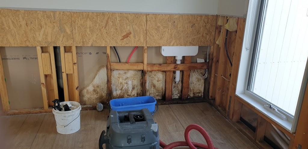 Mould Removal Melbourne | Unit 3/49-51 Murradoc Rd, Drysdale VIC 3222, Australia | Phone: 0425 700 119