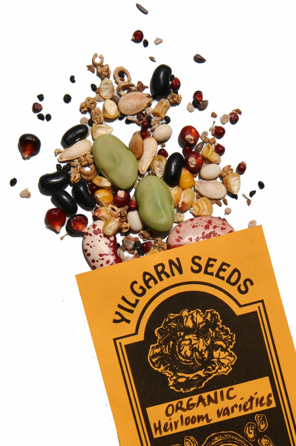 Yilgarn Seeds | 333 David Rd, Waggrakine WA 6530, Australia | Phone: 0458 381 628