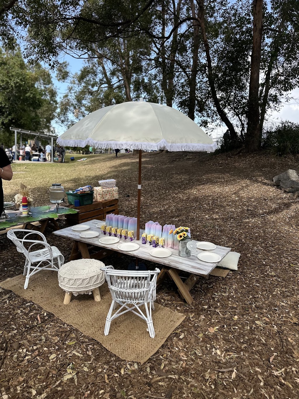 Kool Kombi Party Hire | Tamborine Oxenford Rd, Wongawallan QLD 4210, Australia | Phone: 0422 753 158