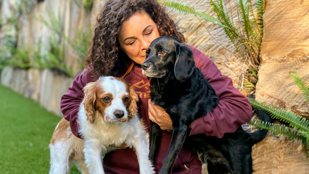 DSDT - DogSense Dog Training & Pet Services | Thornlands, Brisbane QLD 4164, Australia | Phone: 0497 868 666